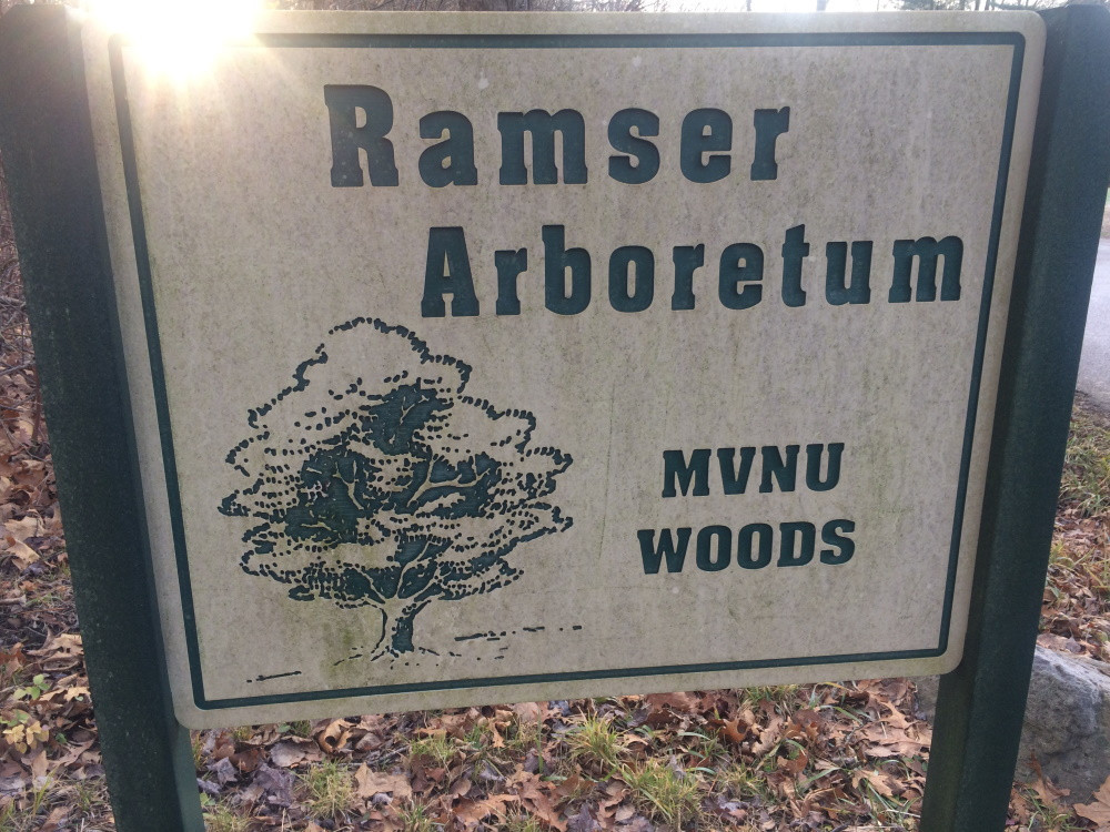 Ramser Arboretum MVNU Woods